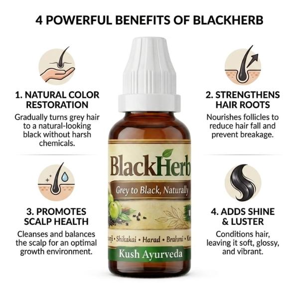 BlackHerb Grey To Black Herbal Hair Care Drop
